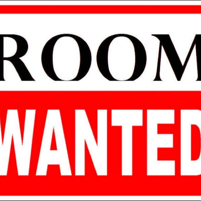 Looking For Room (Weekends Only Mostly), Property, Rentals on Carousell