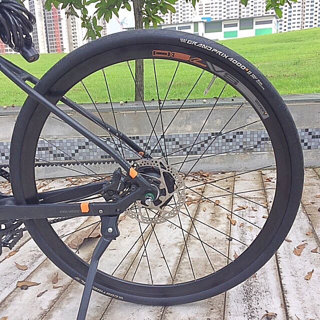 polygon path i8 disc