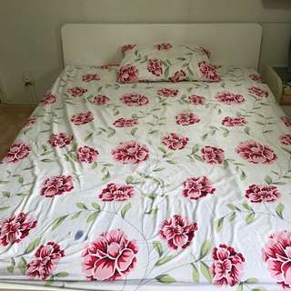 IKEA Queen Size Bed With Mattress