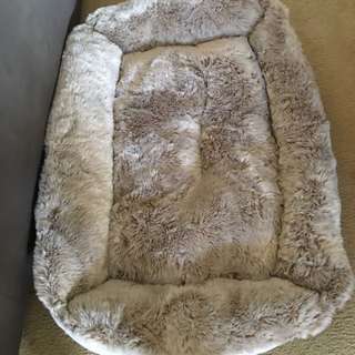 Dog Bed