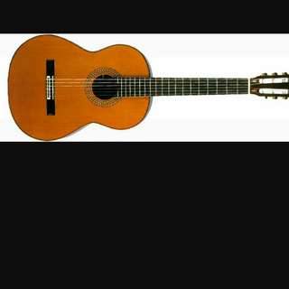 Brand New guitar