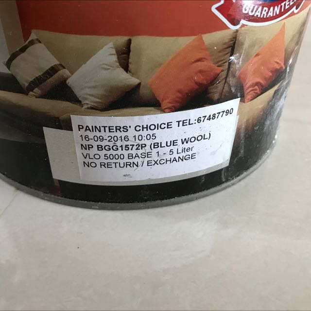 Nippon Paint For Concrete Wall (Blue Wool), Furniture & Home Living