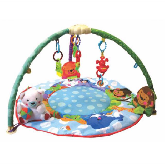 Deluxe musical outlet activity gym