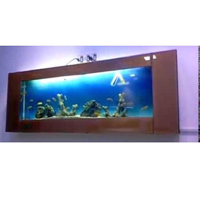 Image showcasing Wall Mounted Aquarium For Fish Or Water Features(Silver Closet ...