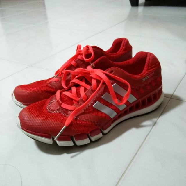 Adidas Climacool Shoes, Sports, Sports Apparel on Carousell