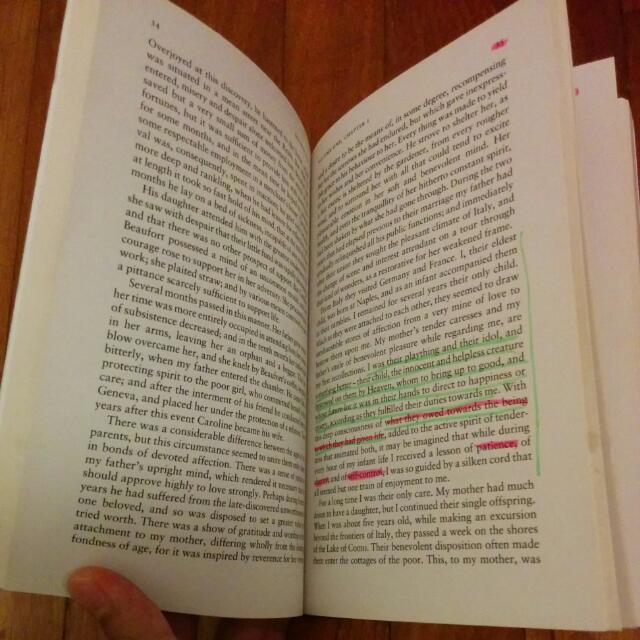 Frankenstein visual data 4