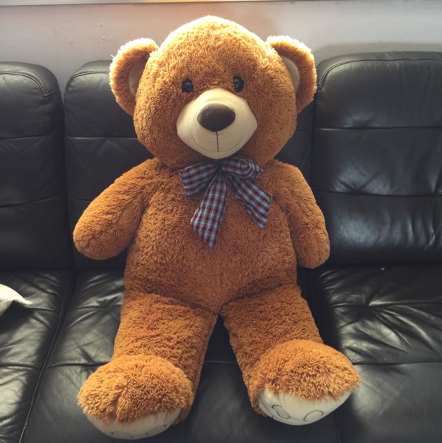 Teddy sales bear 1m
