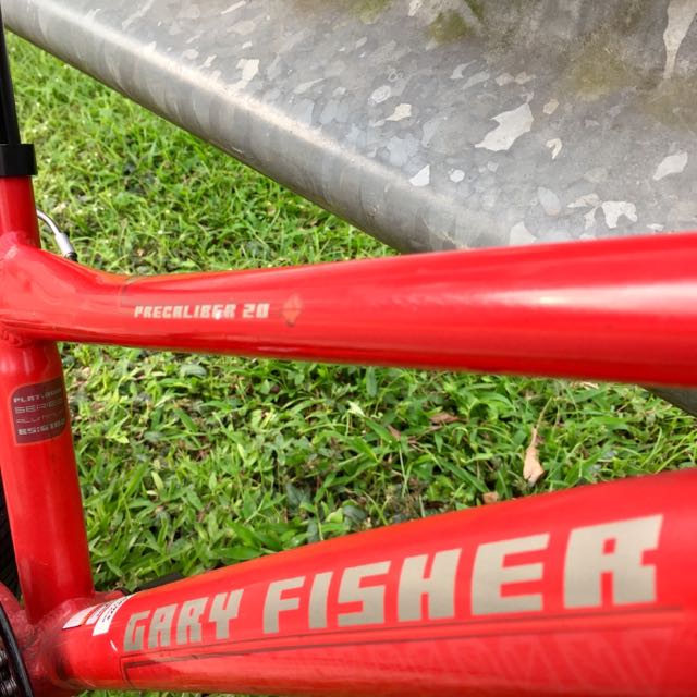 Gary fisher precaliber 20 new arrivals