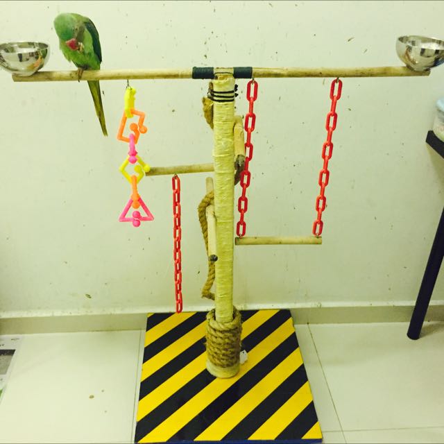 Birds Stand / Perch (Custommade) 50, Pet Supplies, Homes & Other Pet