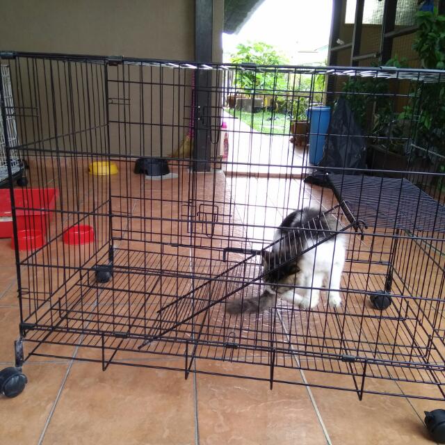 Sangkar Kucing 3 Kaki, Pet Supplies, Pet Accessories on Carousell