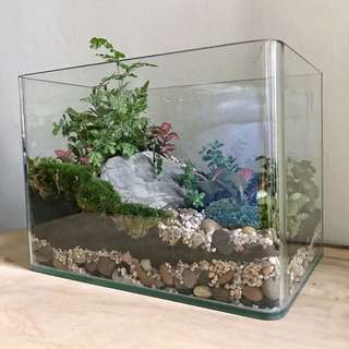 Terrarium (fish Tank)
