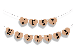 "Just Married" Banner