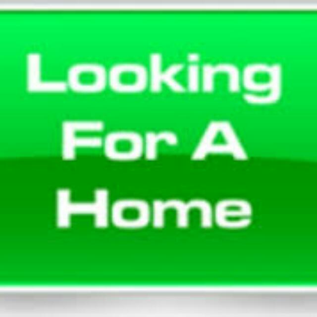 (Category: ) located in . Submitted by mardhiahere (Listing ID 83482863, Image 1). Description: .