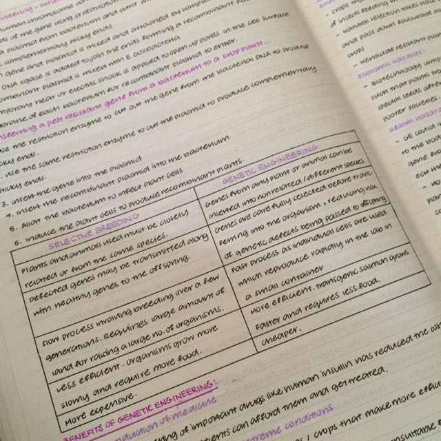 handwritten notes handwritten notes