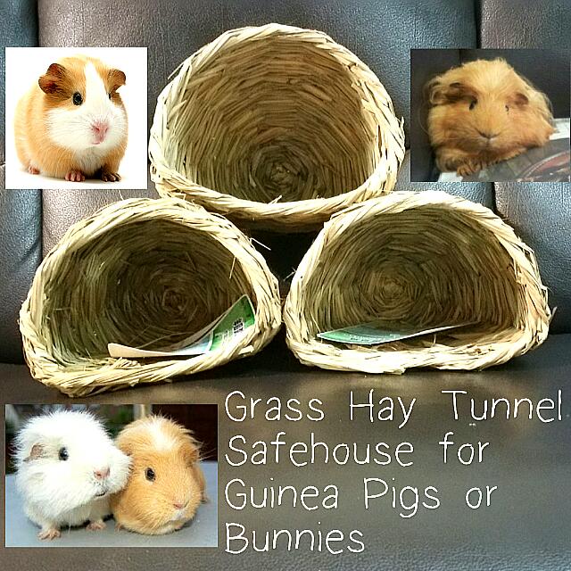 hay tunnel for guinea pigs