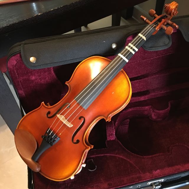 Gcv violins new arrivals