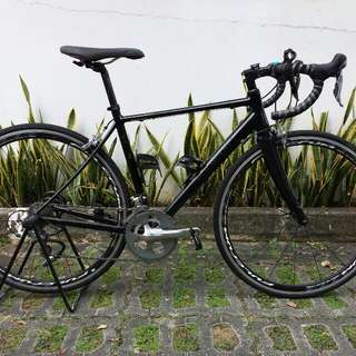 Polygon F5.0 Roadie Edition