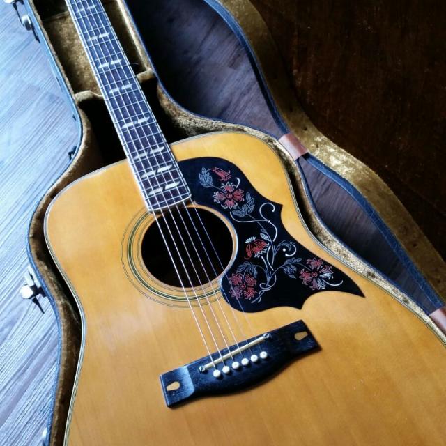 Yamaha Fg-401w Acoustic Guitar , Hobbies & Toys, Music & Media