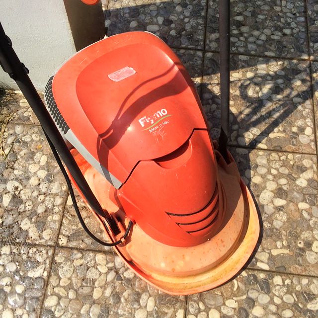 Flymo mow and best sale vac