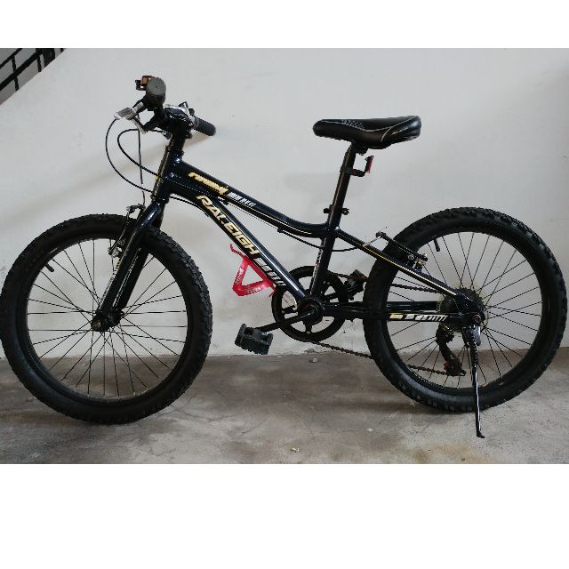 Raleigh rowdy 20 used outlet