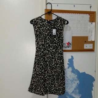 Dynamite Flare Dress