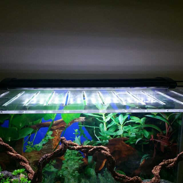 Beamswork led aquarium online light