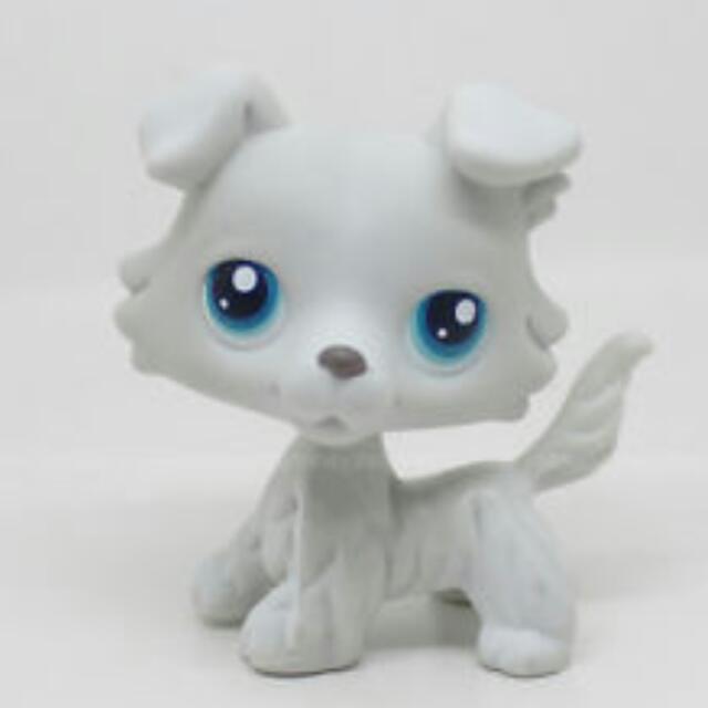 LPS Grey Collie 363 Hobbies Toys Toys Games on Carousell