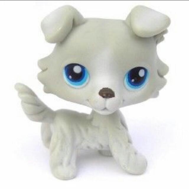 Grey lps collie hotsell