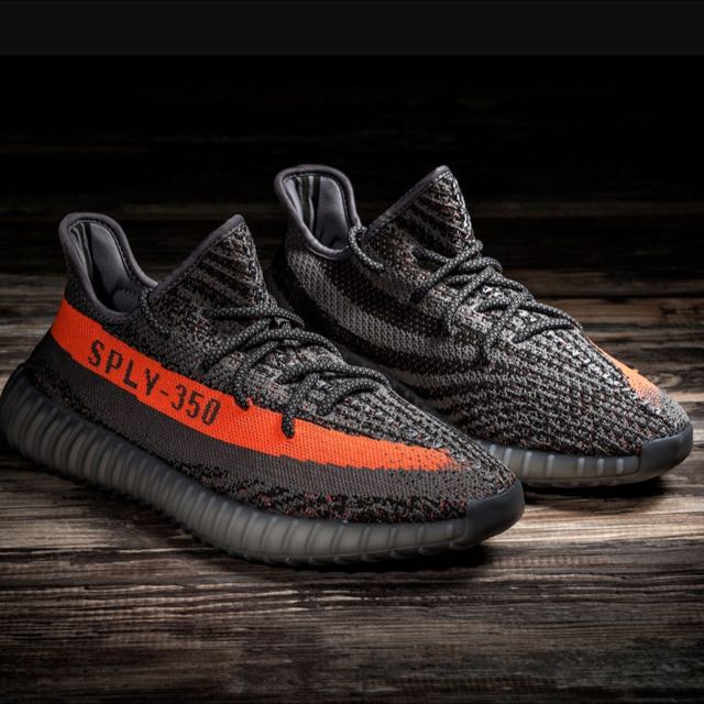beluga sply 350