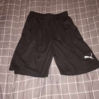 Puma Shorts (NEW)