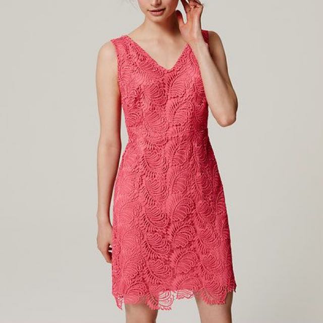 Ann Taylor Loft Plume Lace Dress In Coral Peony (Us 00P / Eur 32-34 / Uk  6), Women'S Fashion, Tops, Sleeveless On Carousell