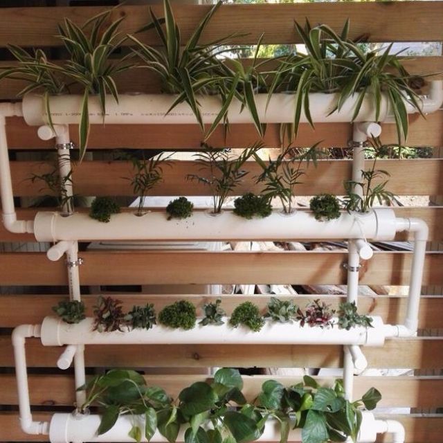 36 Plant Wall Mounted Hydroponic Unit On Carousell
