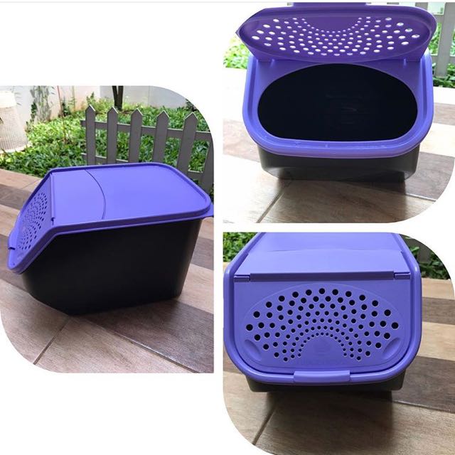 Storage Kentang Tupperware Kitchen Appliances On Carousell