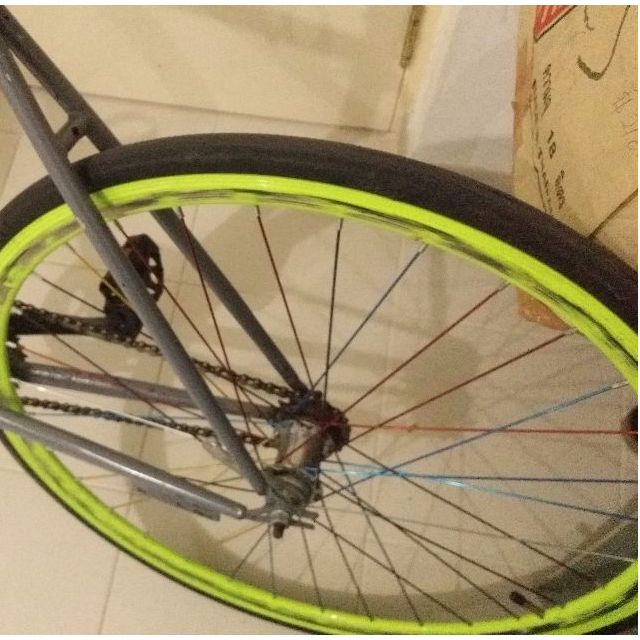 coaster brake fixie
