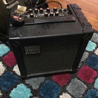 Roland 20X Cube
