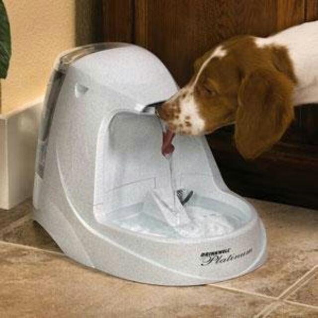 Drinkwell Platinum Water Fountain (Used), Pet Supplies, Homes & Other Pet Accessories on Carousell