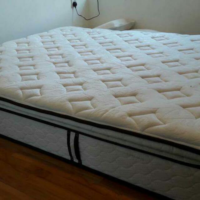 Sealy confidence mattress shop