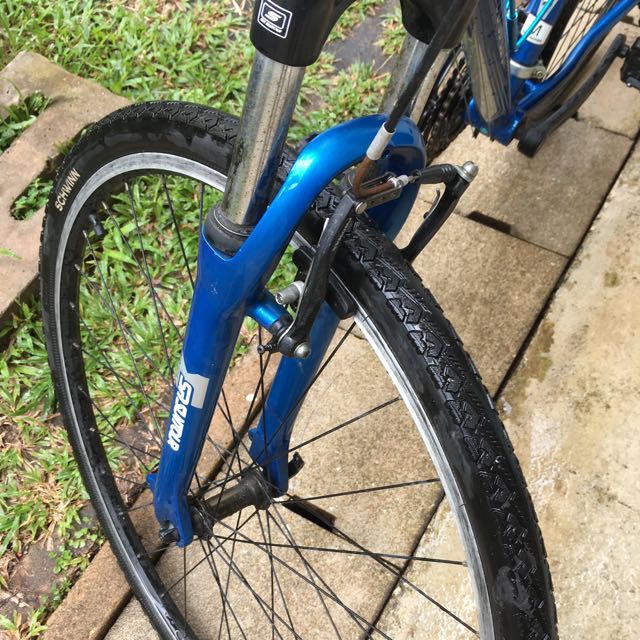 Schwinn searcher 4 deals