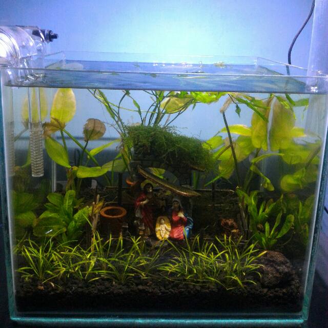 Aquascape Unik Murah Komplit Home Furniture On Carousell