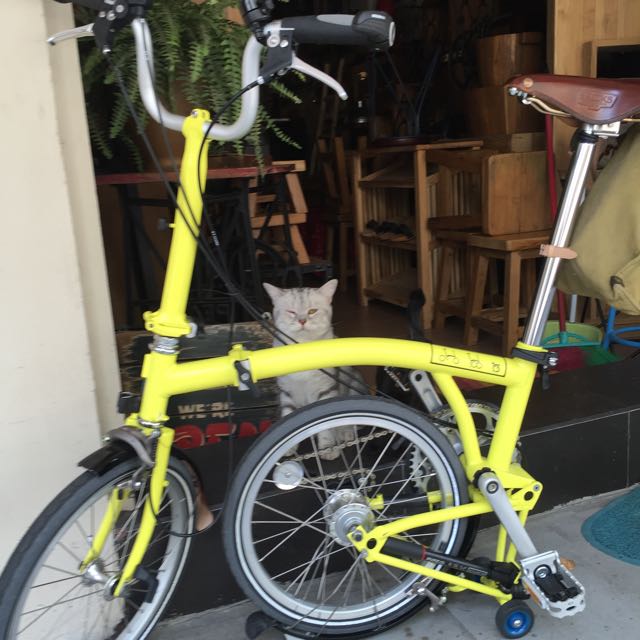brompton home trainer