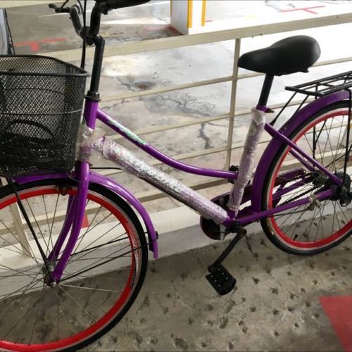 bike with large basket