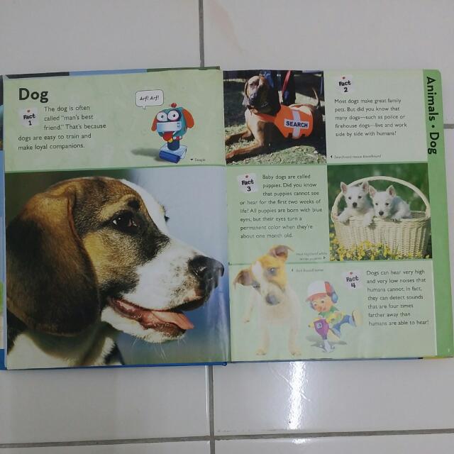 Playhouse Disney Encyclopedia, Hobbies & Toys, Books & Magazines