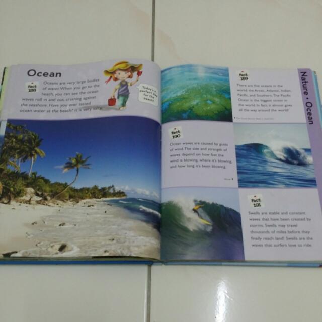 Playhouse Disney Encyclopedia, Hobbies & Toys, Books & Magazines