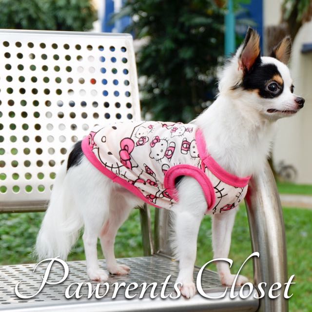 hello kitty dog clothes