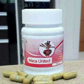 MACA UNITED PROMIL ALA HWI ORIGINAL