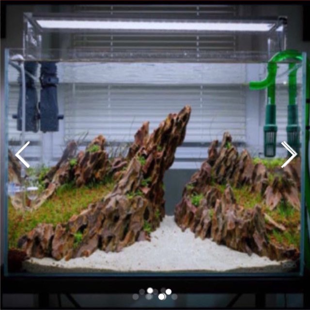 Dragon Rocks Ohko Stone ADA Aquascaping, Gardening on Carousell