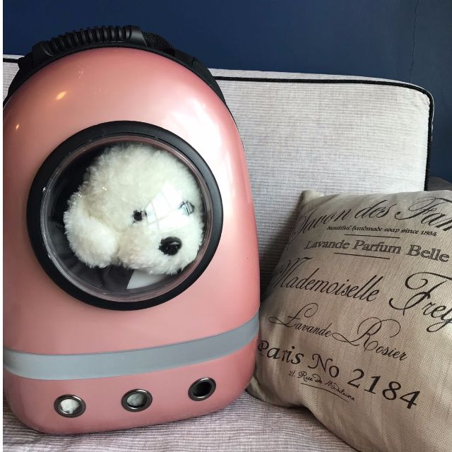 Dog hot sale spaceship backpack