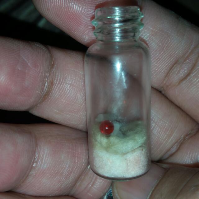 Mustika Buntat Lipan Bara 100 Asli Vintage Collectibles On