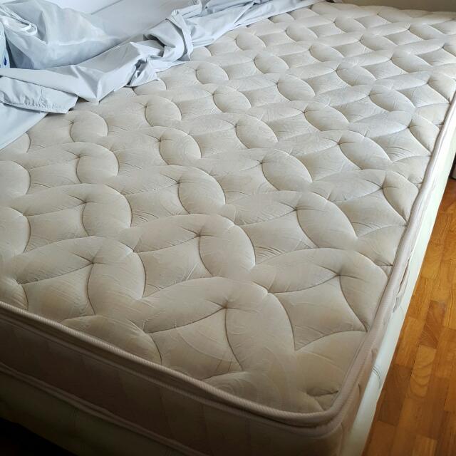 King KOIL Mattress with Bedframe, Furniture, Beds & Mattresses on Carousell