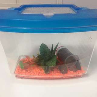 fish tank